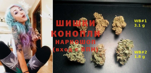 мдпв Кулебаки