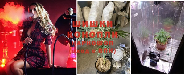 мдпв Кулебаки