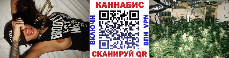 kraken tor  Томилино  Шишки марихуана план 